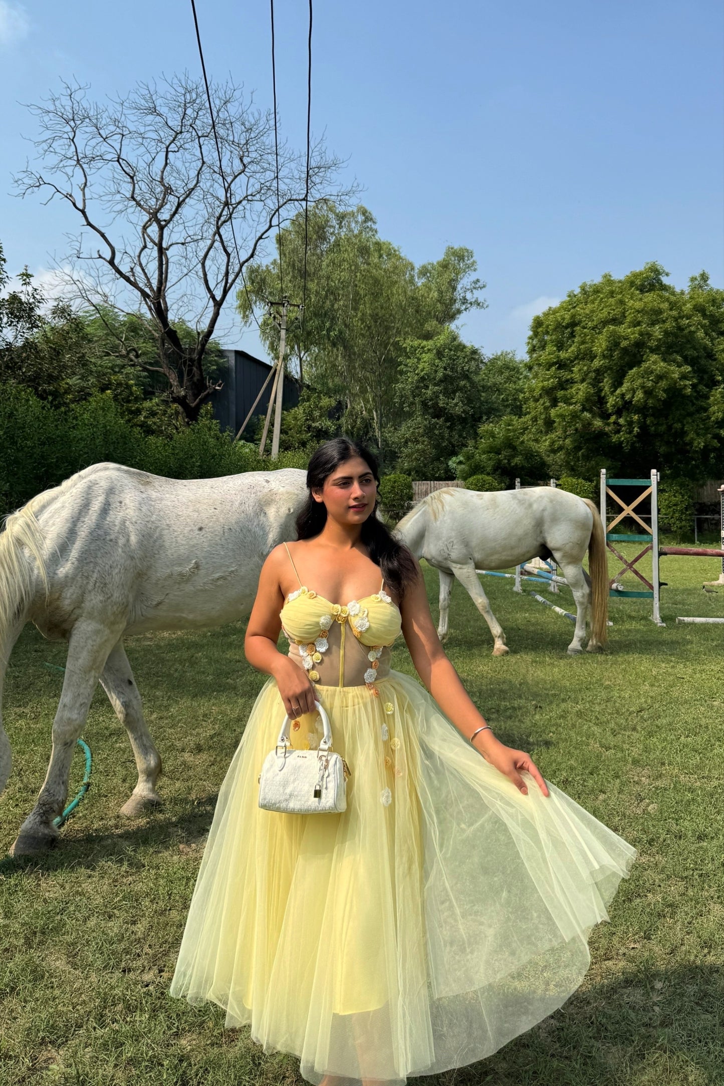 Lady Bella Dress