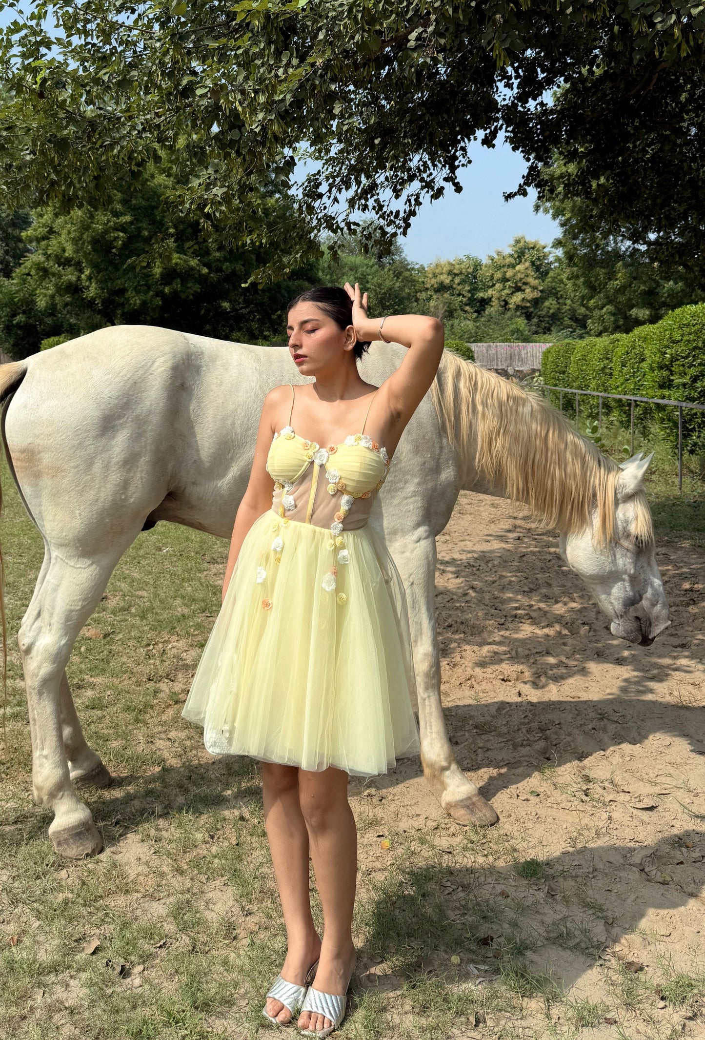 Miss Bella Dress