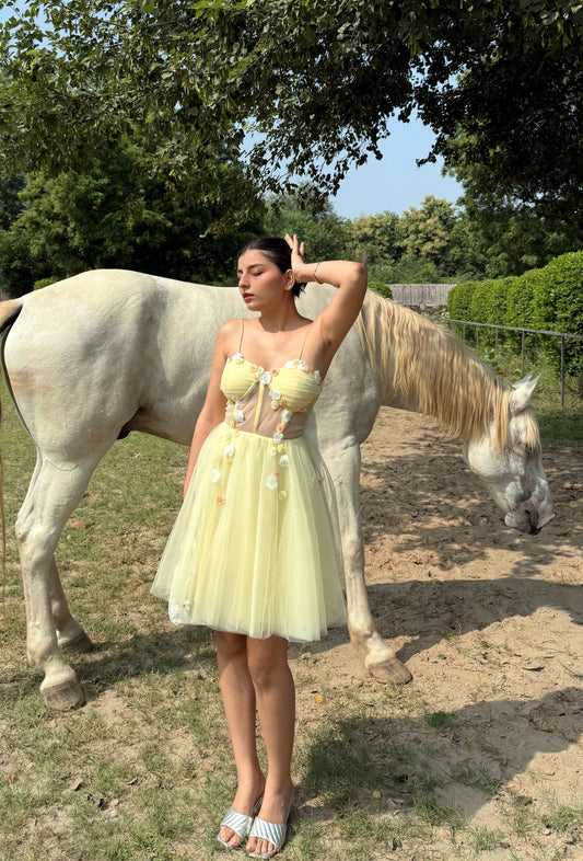 Miss Bella Dress