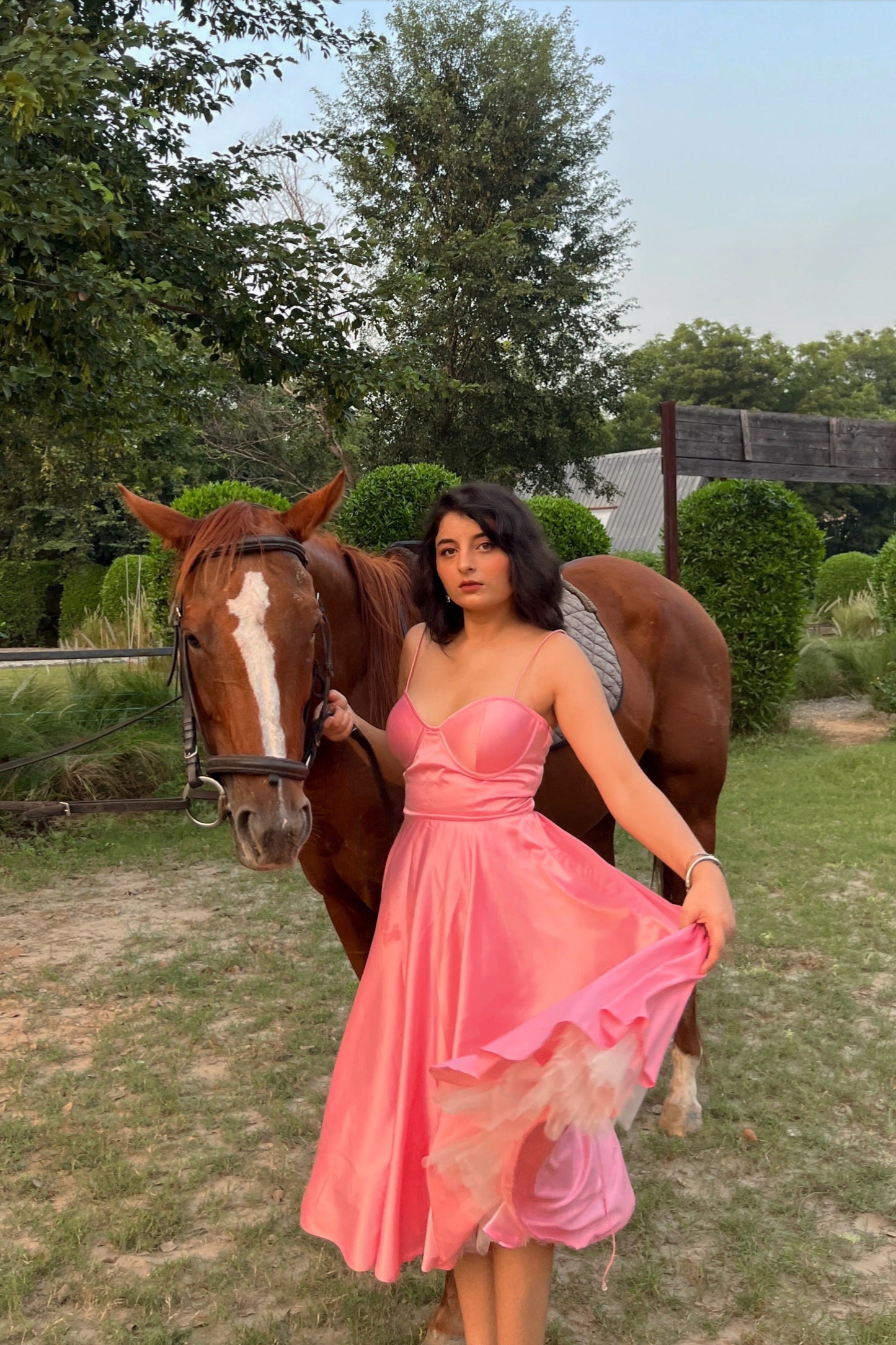 Lady Rose Dress
