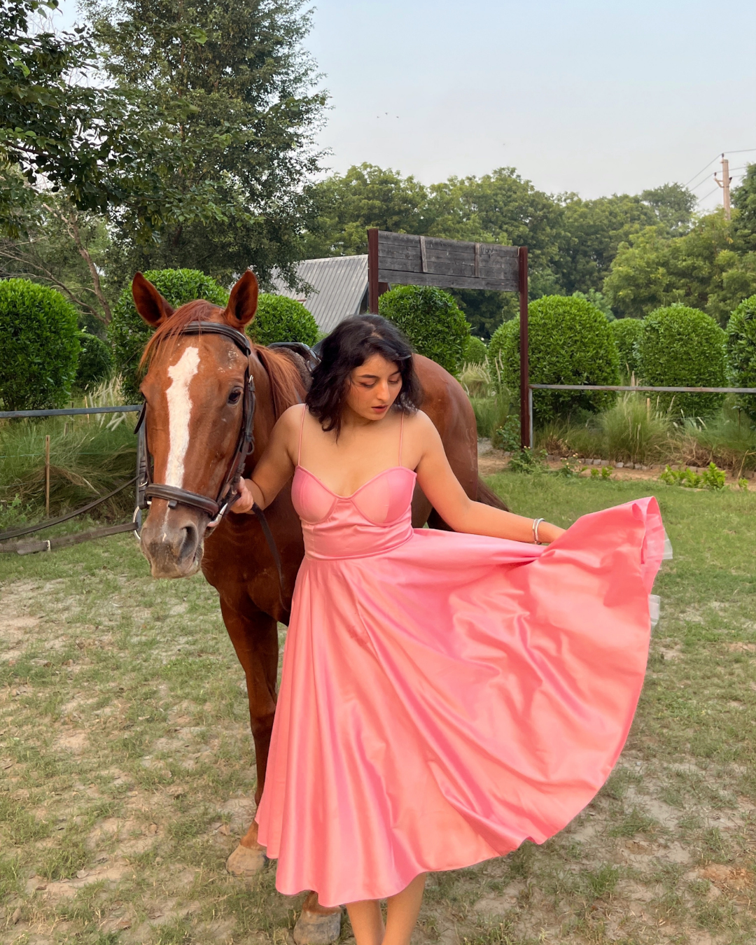 Lady Rose Dress